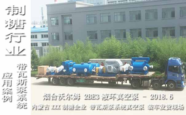 水環式真空泵圖片-2018.6內蒙古某制糖企業帶瓦斯泵系統的2BE3液環真空泵案例