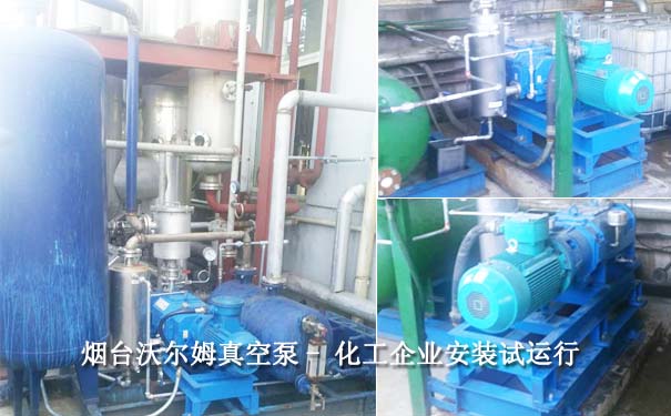 真空泵機組-2016.3江蘇某化工羅茨螺桿機組案例圖片2