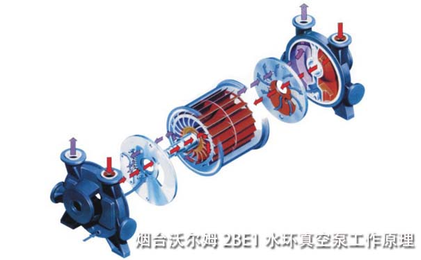 2BE1水環真空泵工作原理-煙臺沃爾姆水環式真空泵生產廠家